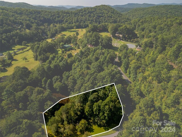 L3 Sweetwater Ridge Rd, Balsam Grove, NC 28708 - photo 7
