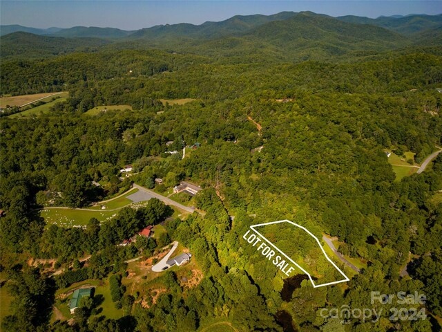 L3 Sweetwater Ridge Rd, Balsam Grove, NC 28708 - photo 8