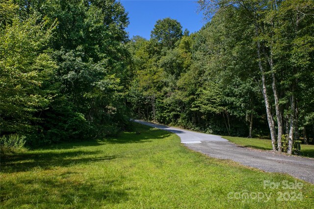 L3 Sweetwater Ridge Rd, Balsam Grove, NC 28708 - photo 10