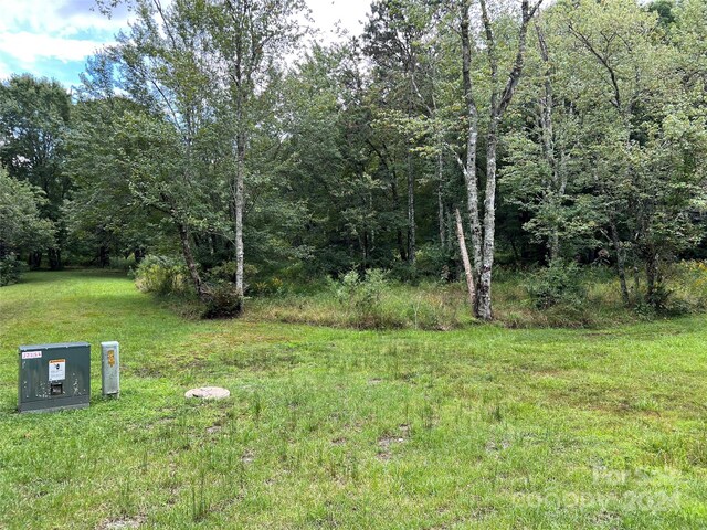 L3 Sweetwater Ridge Rd, Balsam Grove, NC 28708 - photo 15