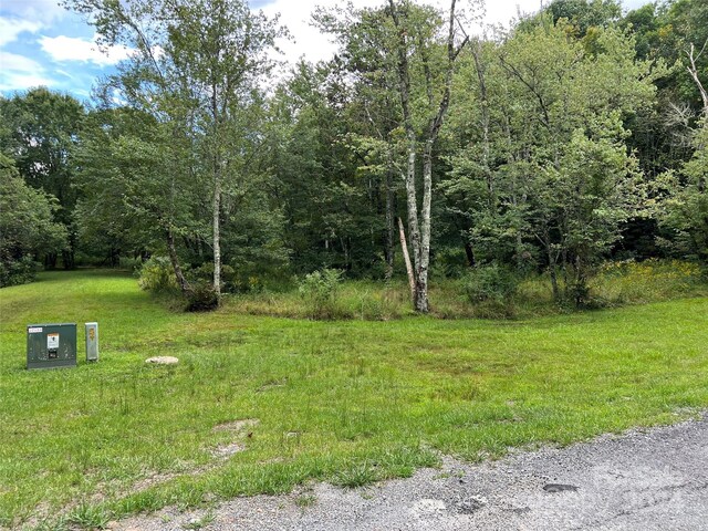 L3 Sweetwater Ridge Rd, Balsam Grove, NC 28708 - photo 16