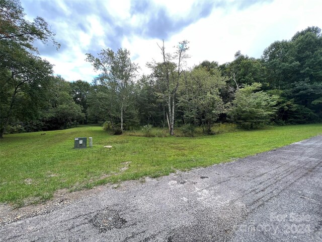 L3 Sweetwater Ridge Rd, Balsam Grove, NC 28708 - photo 17