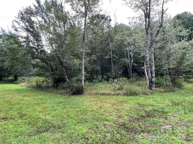 L3 Sweetwater Ridge Rd, Balsam Grove, NC 28708 - photo 19