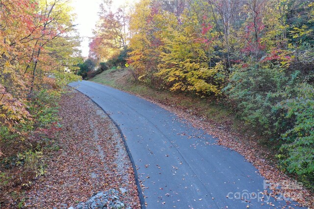 L3 Sweetwater Ridge Rd, Balsam Grove, NC 28708 - photo 20