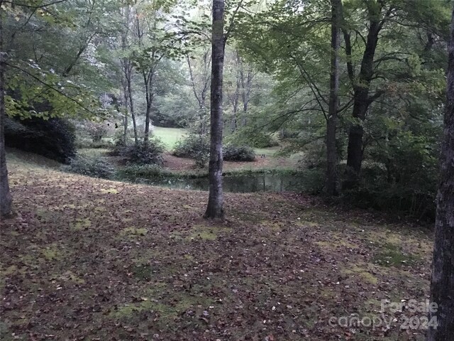 L3 Sweetwater Ridge Rd, Balsam Grove, NC 28708 - photo 23