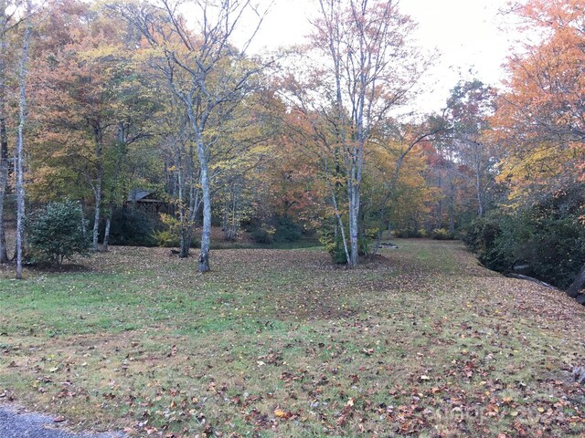 L3 Sweetwater Ridge Rd, Balsam Grove, NC 28708 - photo 24