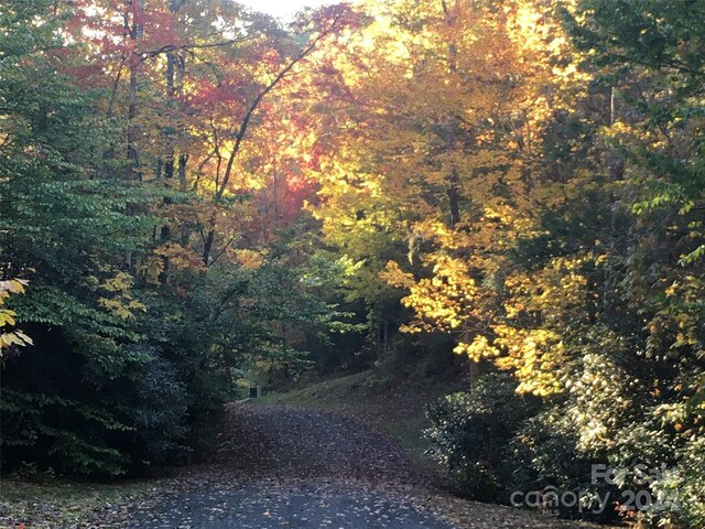 L3 Sweetwater Ridge Rd, Balsam Grove, NC 28708 - photo 27