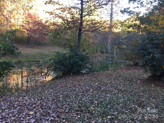 L3 Sweetwater Ridge Rd, Balsam Grove, NC 28708 - photo 28