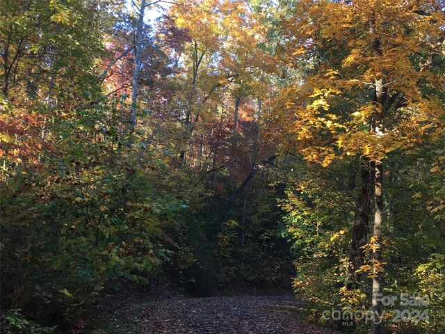 L3 Sweetwater Ridge Rd, Balsam Grove, NC 28708 - photo 30