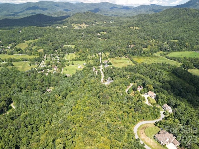 117 Sovereign Ln, Fairview NC, 28730 land for sale