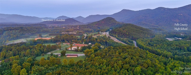 Listing photo 3 for 0 Fox Mountain Rd Unit 11, Columbus NC 28722