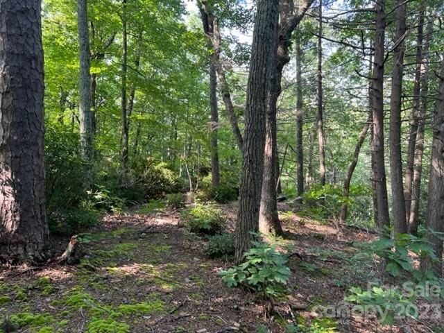 0000 Pine Bluff Rd, Hendersonville NC, 28792 land for sale