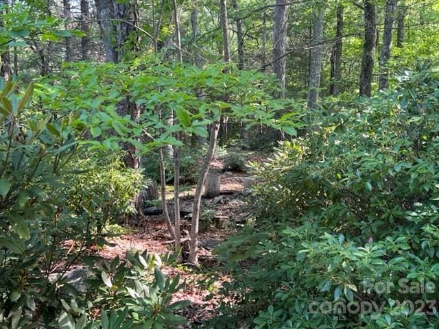 Listing photo 2 for 0000 Pine Bluff Rd, Hendersonville NC 28792