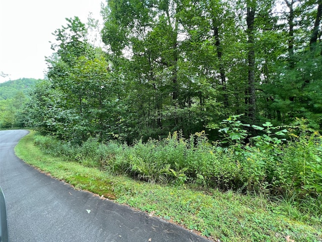 Listing photo 2 for 103 Laurel Thicket Ln, Brevard NC 28712