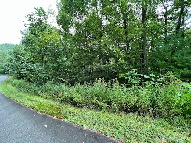 Listing photo 3 for 103 Laurel Thicket Ln, Brevard NC 28712