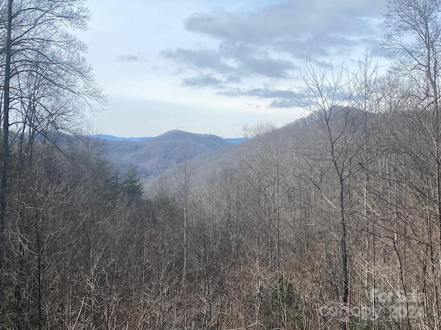 0 Garnet Rd Unit 18, Sylva NC, 28779 land for sale