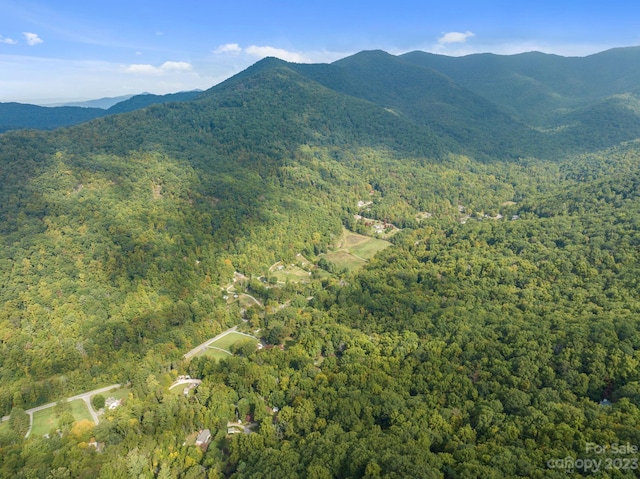 99999 Shope Creek Estates Dr, Asheville, NC 28805 - photo 10