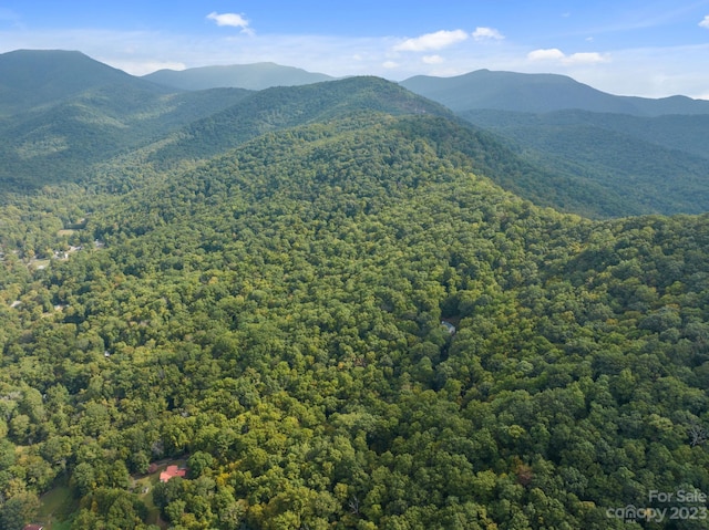 99999 Shope Creek Estates Dr, Asheville, NC 28805 - photo 11