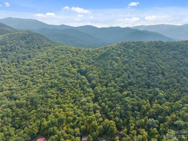 99999 Shope Creek Estates Dr, Asheville, NC 28805 - photo 12