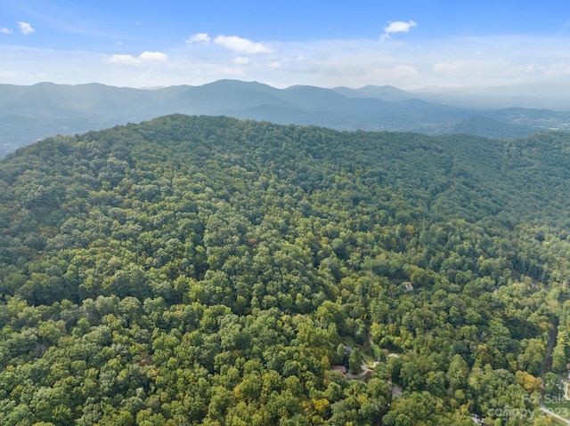 99999 Shope Creek Estates Dr, Asheville, NC 28805 - photo 13