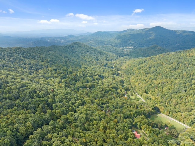 99999 Shope Creek Estates Dr, Asheville, NC 28805 - photo 14