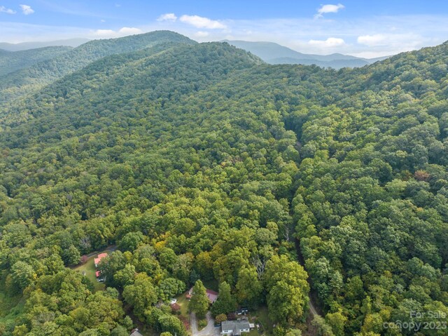 99999 Shope Creek Estates Dr, Asheville, NC 28805 - photo 17