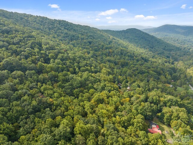 99999 Shope Creek Estates Dr, Asheville, NC 28805 - photo 19