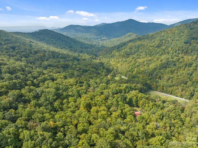 99999 Shope Creek Estates Dr, Asheville, NC 28805 - photo 20