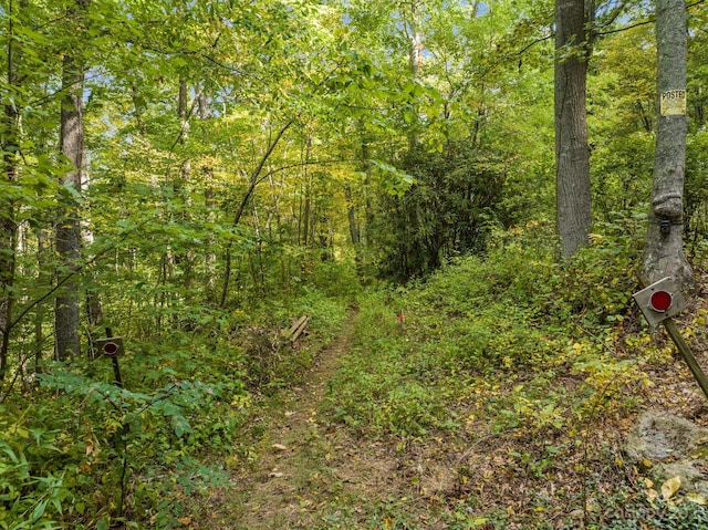 99999 Shope Creek Estates Dr, Asheville, NC 28805 - photo 22