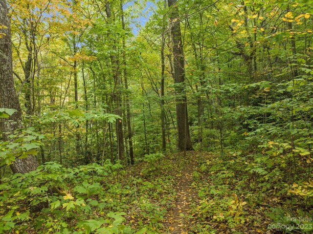 99999 Shope Creek Estates Dr, Asheville, NC 28805 - photo 23