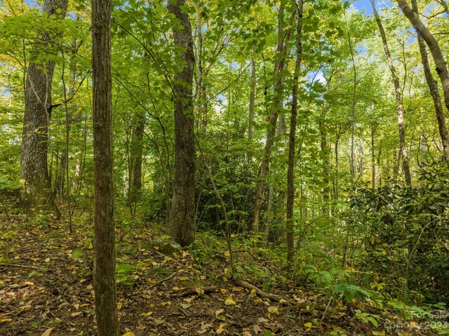 99999 Shope Creek Estates Dr, Asheville, NC 28805 - photo 24