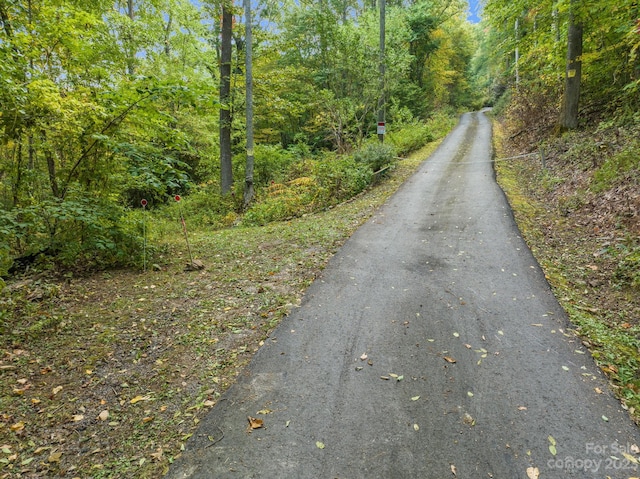 99999 Shope Creek Estates Dr, Asheville NC, 28805 land for sale