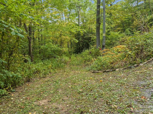 99999 Shope Creek Estates Dr, Asheville, NC 28805 - photo 4
