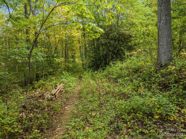 99999 Shope Creek Estates Dr, Asheville, NC 28805 - photo 5