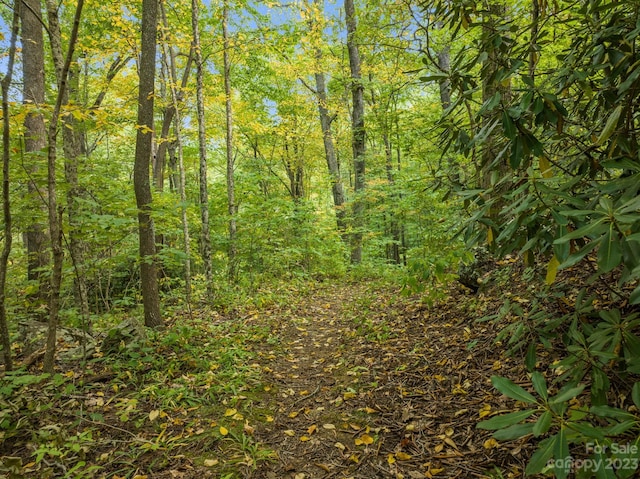 99999 Shope Creek Estates Dr, Asheville, NC 28805 - photo 6