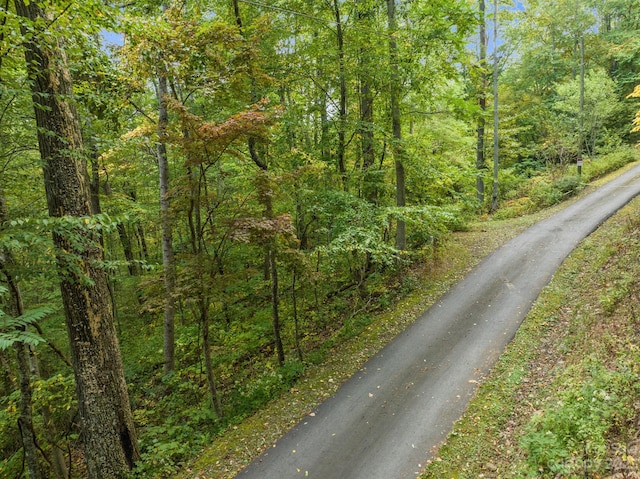 99999 Shope Creek Estates Dr, Asheville, NC 28805 - photo 7