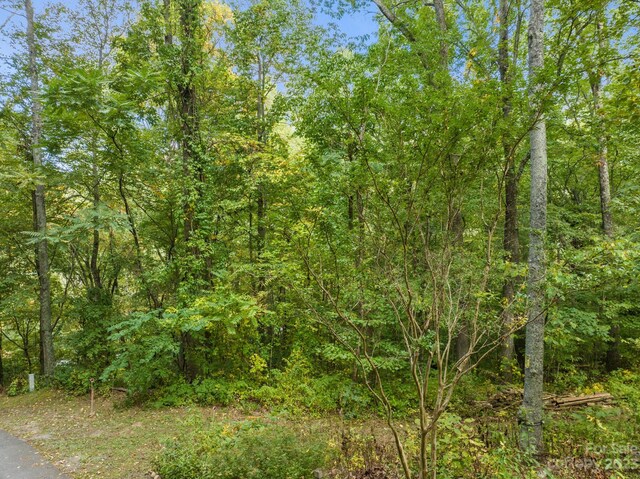 99999 Shope Creek Estates Dr, Asheville, NC 28805 - photo 8