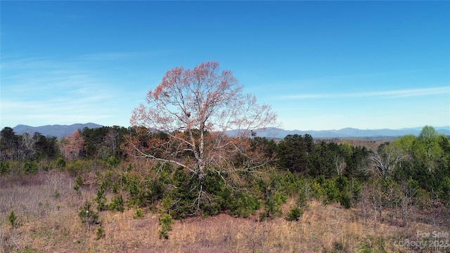 Listing photo 3 for 0 NC-9 Hwy S, Tryon NC 28782