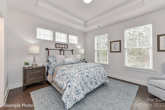 bedroom with dark hardwood / wood-style flooring and a raised ceiling