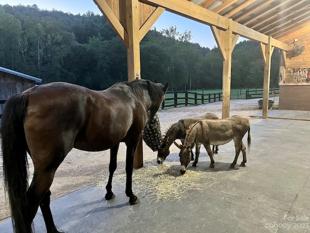 view of horse barn