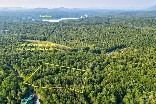 0 Pisgah Preserve Dr Unit 12, Nebo NC, 28761 land for sale