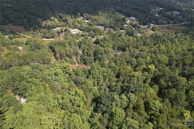 00000 Screech Owl Dr, Candler, NC 28715 - photo 1