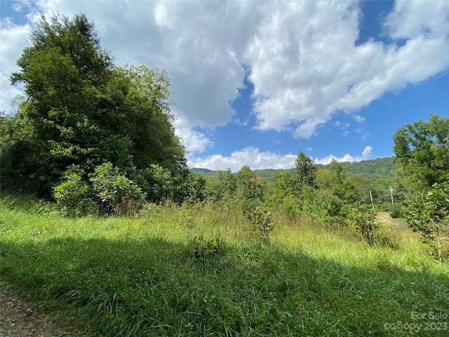 00000 Screech Owl Dr, Candler, NC 28715 - photo 2