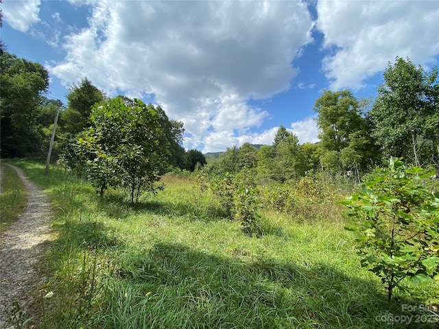 00000 Screech Owl Dr, Candler, NC 28715 - photo 3