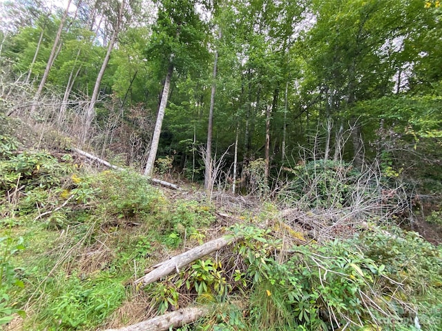 00000 Screech Owl Dr, Candler, NC 28715 - photo 4