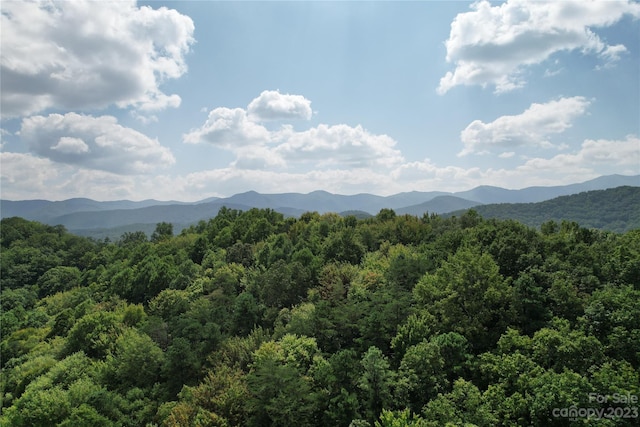 00000 Screech Owl Dr, Candler, NC 28715 - photo 5