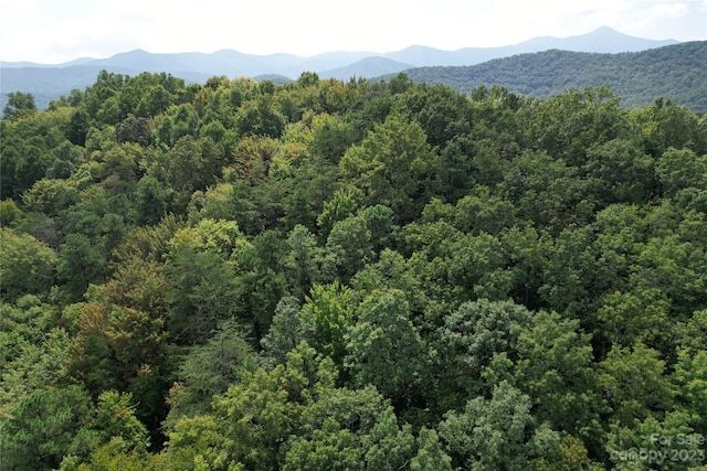 00000 Screech Owl Dr, Candler, NC 28715 - photo 6