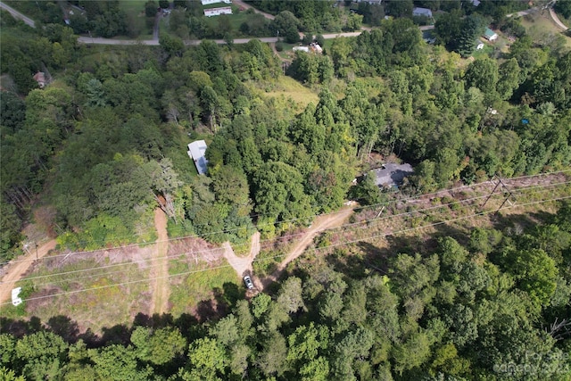 00000 Screech Owl Dr, Candler, NC 28715 - photo 7