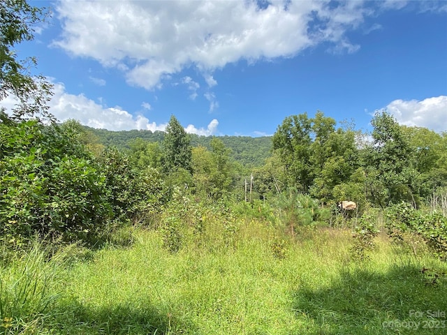 00000 Screech Owl Dr, Candler, NC 28715 - photo 8