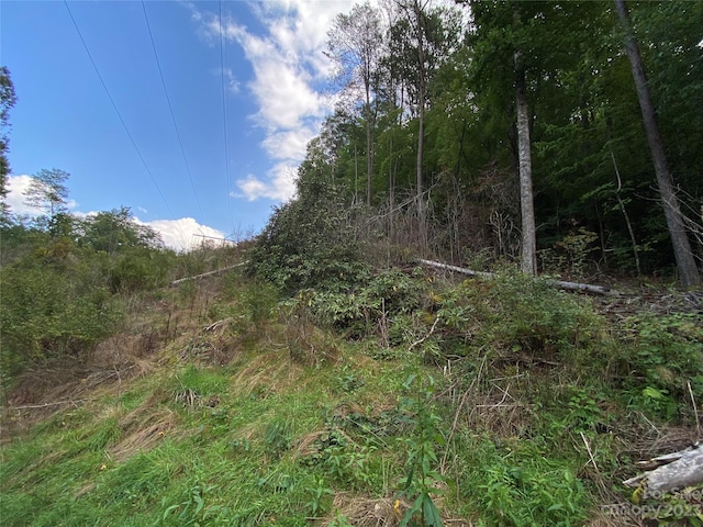 00000 Screech Owl Dr, Candler, NC 28715 - photo 11